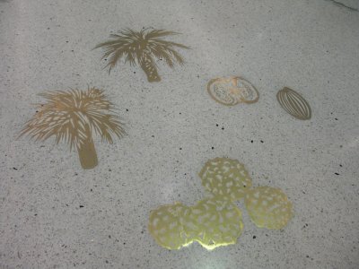  Plant motif 1